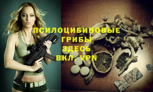 стафф Абдулино